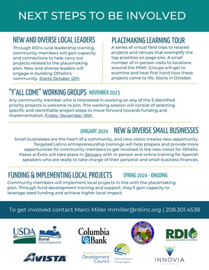 Next Steps flyer. Click for PDF